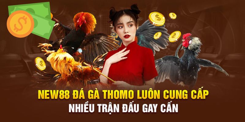 Đa dạng giải đấu đá gà new88